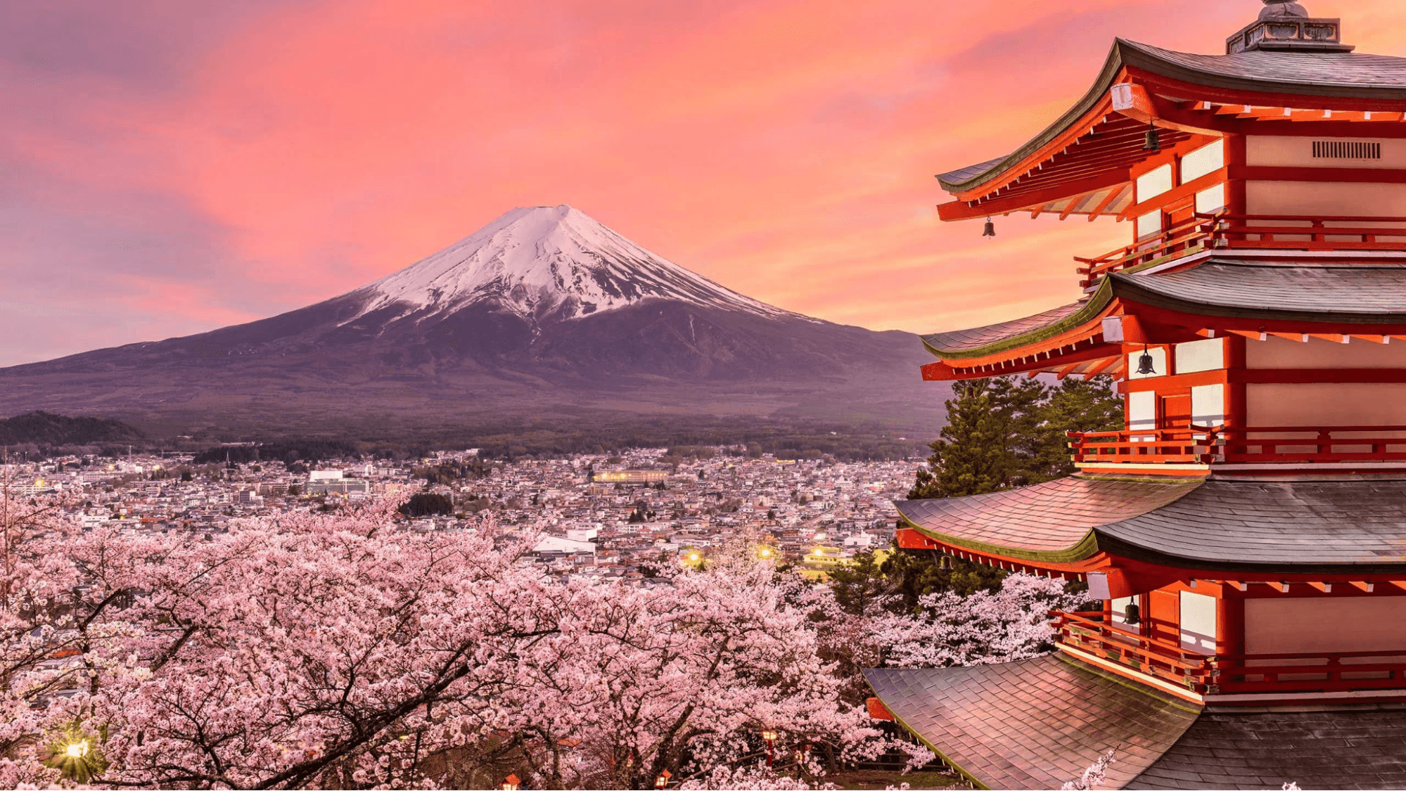 Best Japan Cruises for Every Type of Traveler preview image