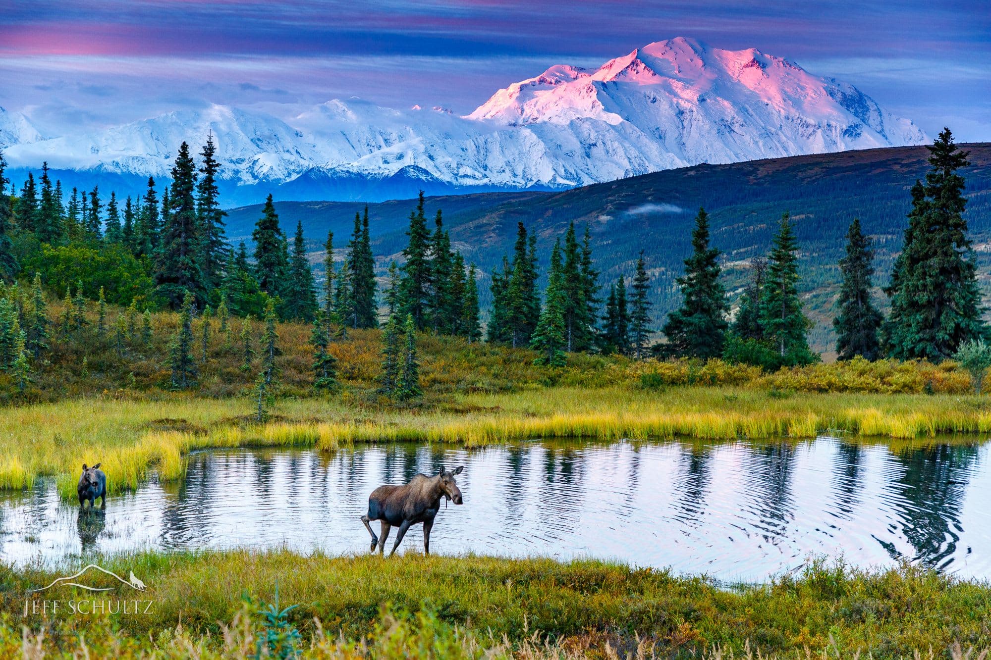 What's Best Time of Year for an Alaska Cruise preview image