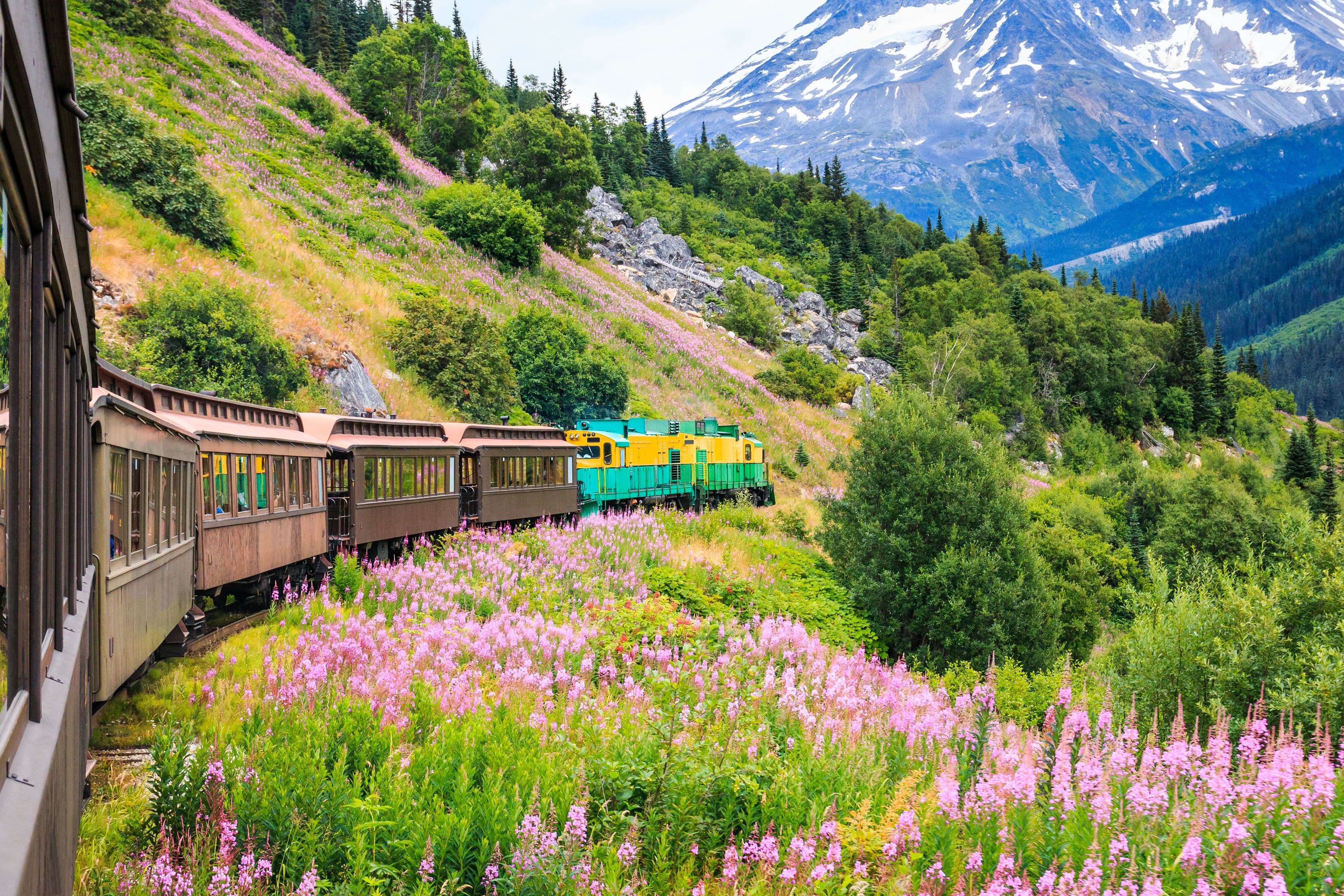 Best Alaska Cruise Excursions preview image