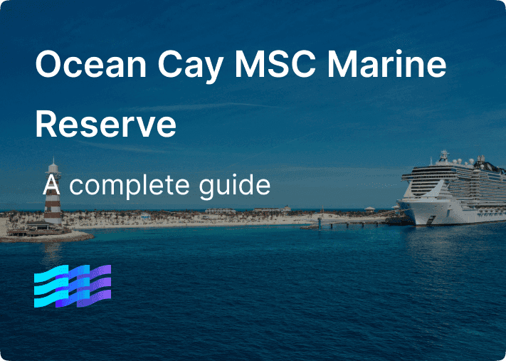 Ocean Cay MSC Marine Reserve: A complete guide to MSC’s private island in The Bahamas preview image