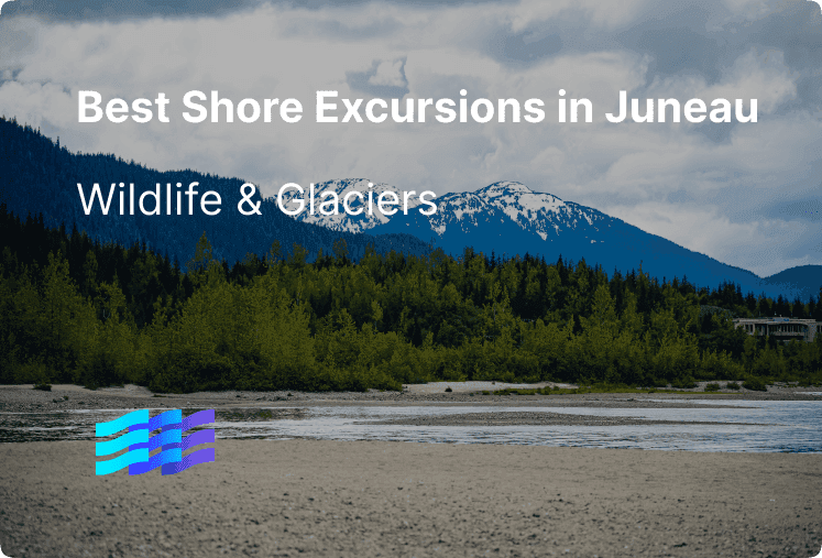 Best Shore Excursions in Juneau for Wildlife & Glaciers preview image