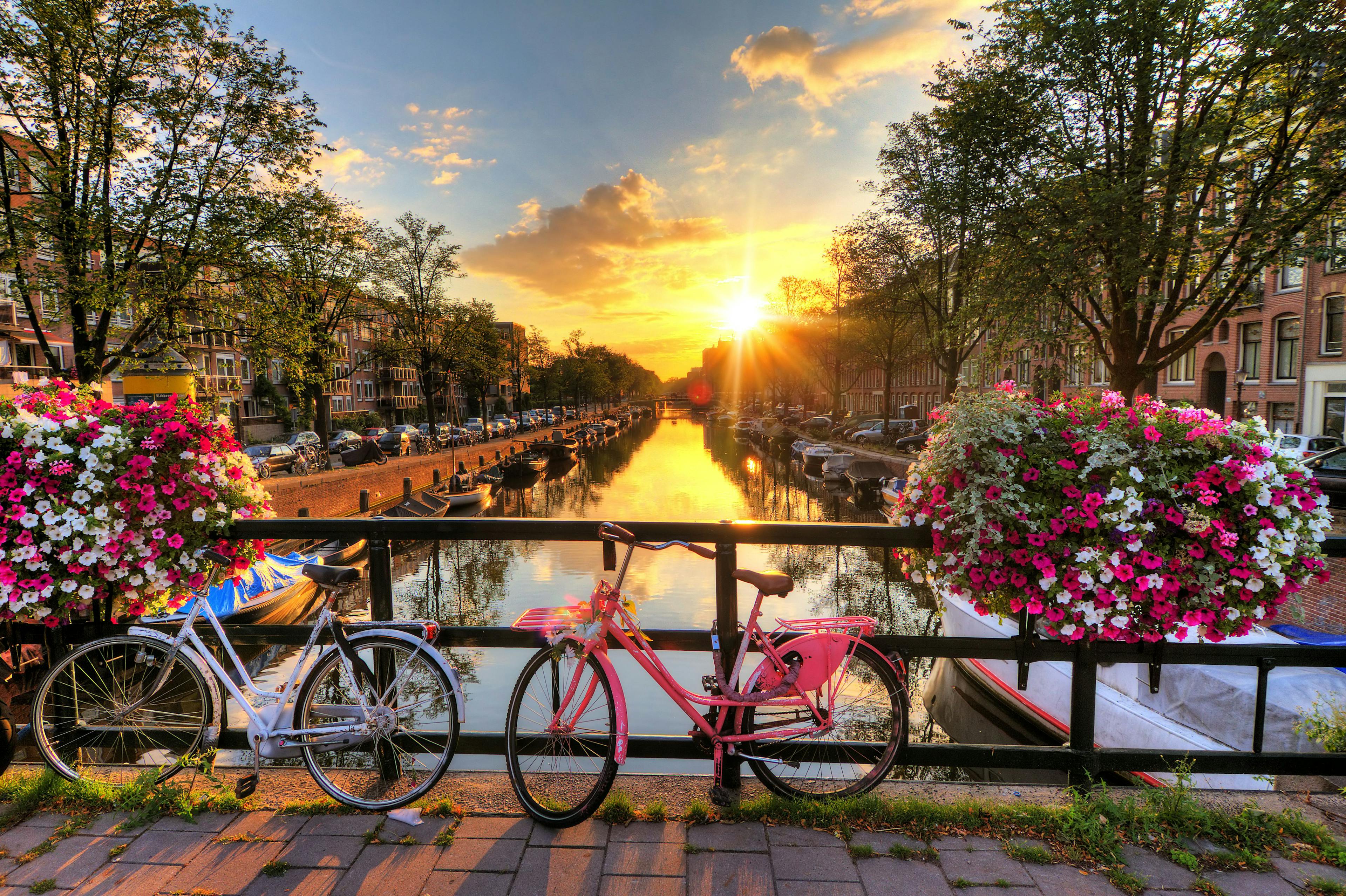 book-cruises-from-amsterdam-the-netherlands background