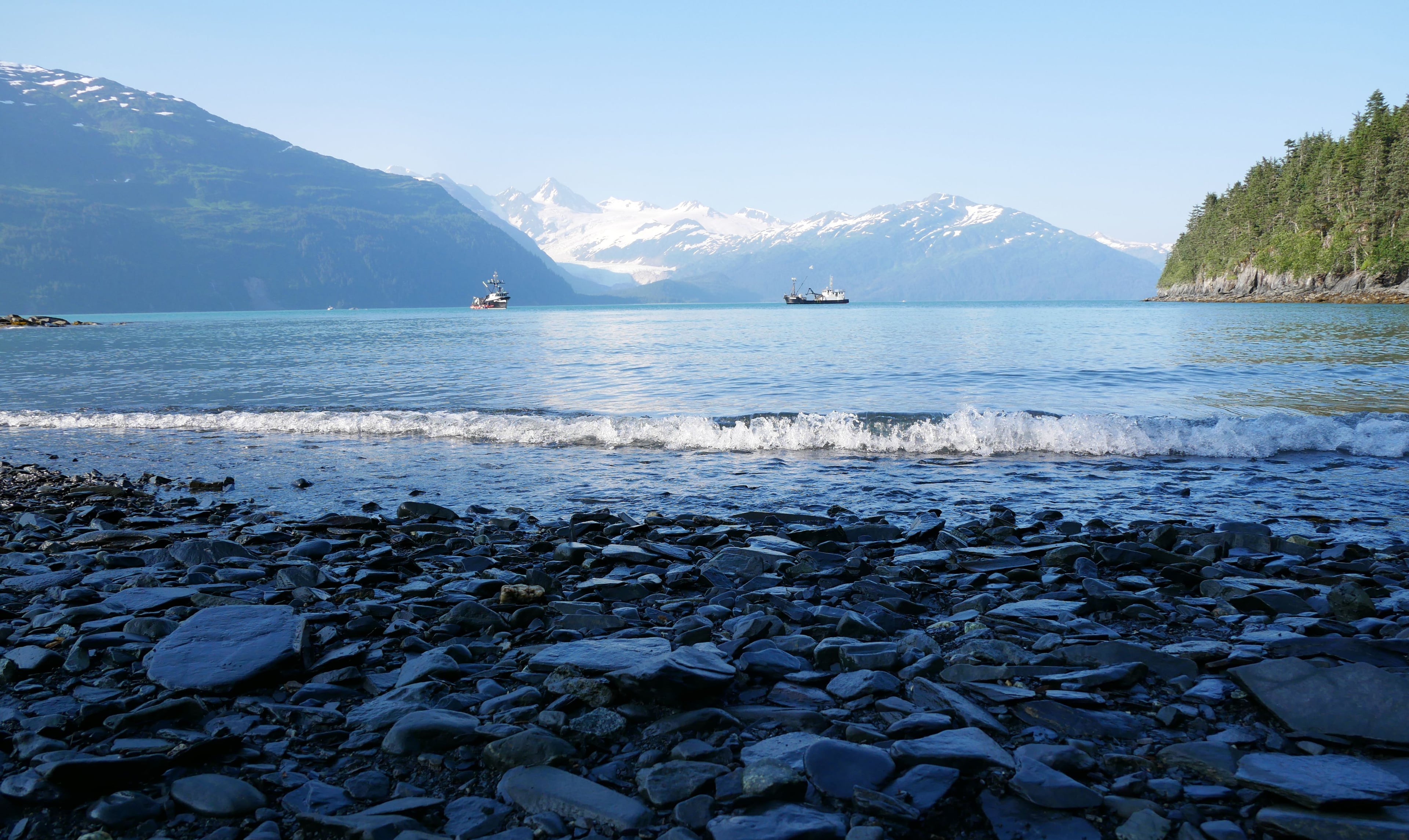 Book Cruises From Whittier Alaska Online And Save
