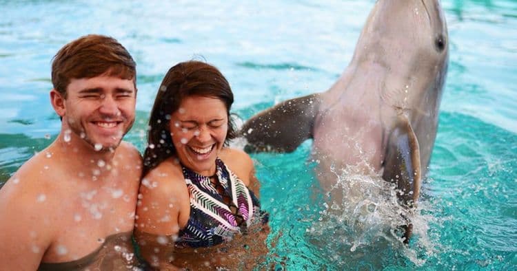 Dolphin Encounter, Waterpark,Beach & Lunch