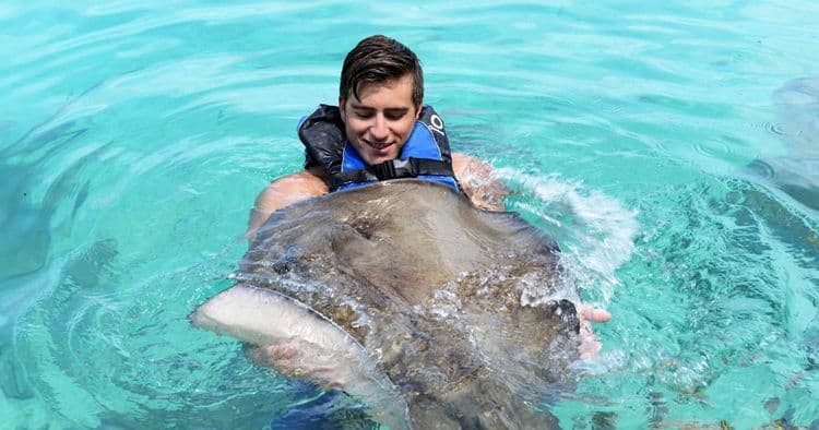 Dolphins, Stingrays,Sea Lions & Blue Lagoon Beach