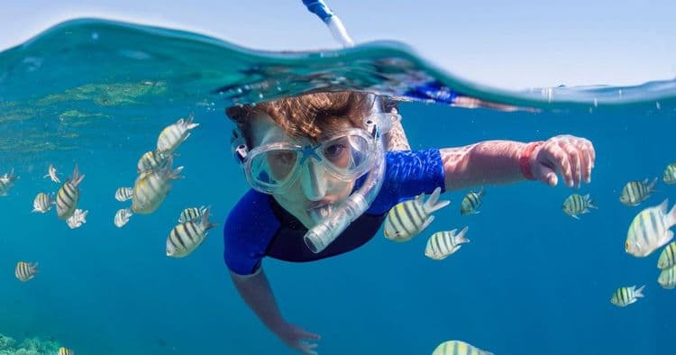 Snorkeling at Princess Cruises Cays