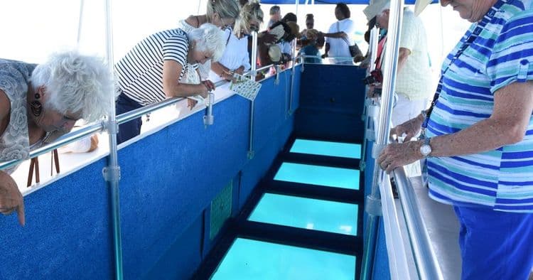 Glass-Bottom Boat Cruise