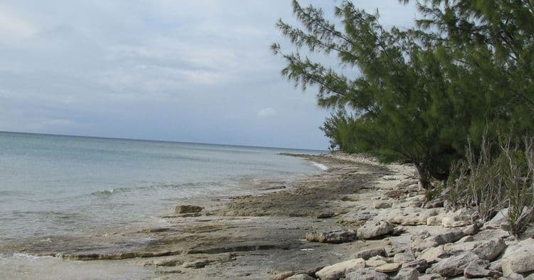 Coastal Cruise, Snorkel & Float Rental for Two