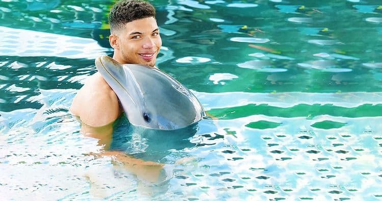 Dolphin, Sharks & Sea Lion Adventure