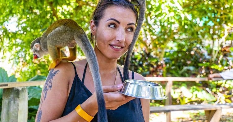 Monkeyland & Puerto Plata City Tour