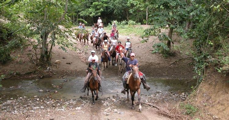 Adrenaline Zipline & Horseback Riding