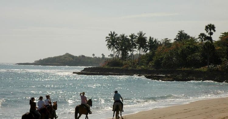 Beach Horseback Riding