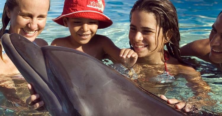 Tour de burbujas: encuentro con delfines, leones marinos y almuerzo
