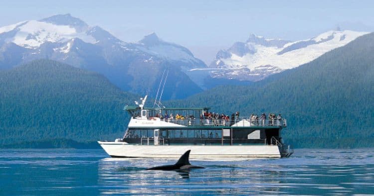 Búsqueda del glaciar y la ballena Mendenhall