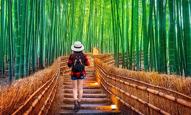 Arashiyama por tu cuenta