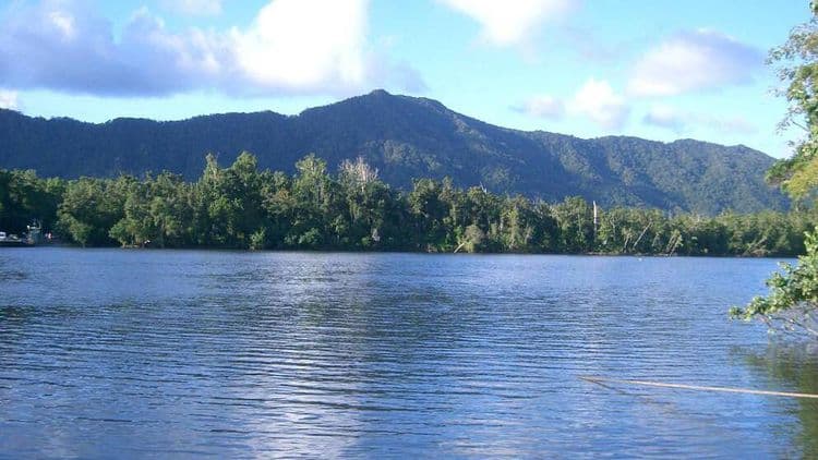 Cape Tribulation y Daintree Eco Experience