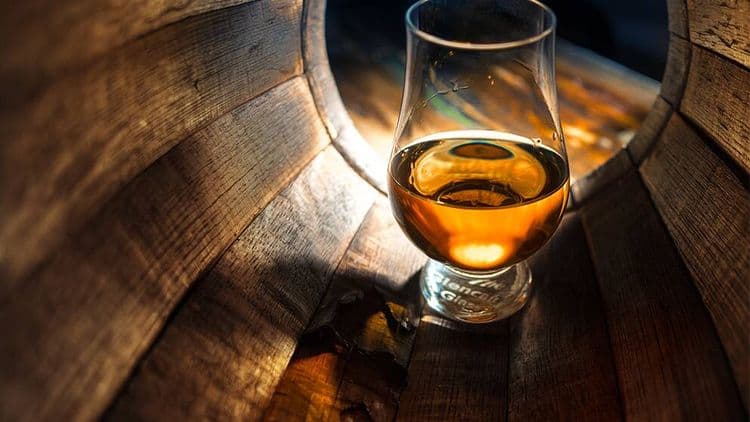 Experiencia Hampden Rum con almuerzo