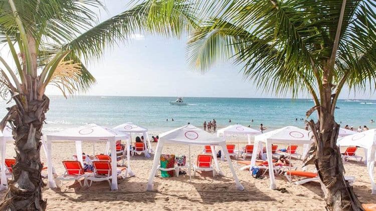 Escanada de lujo en la playa en VIVO Beach Club