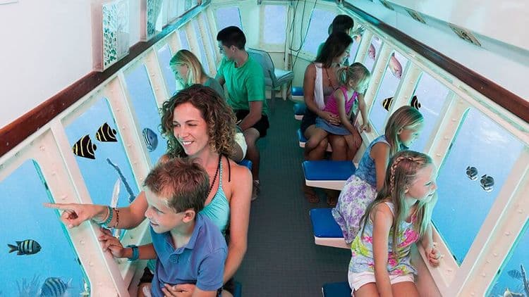 Cruise Essentials: Aruba Sea & See Island Tour