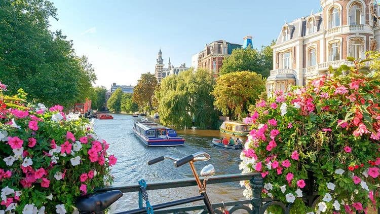 Amsterdam Walking Tour and Canal Cruise