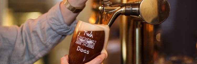 Experiencia en cervecería artesanal y destilería