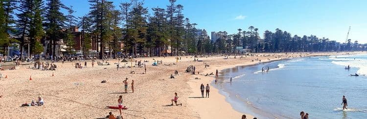 Atracciones en Manly & North Sydney