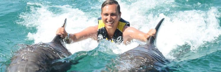 Pase del Día Mundial de la Natación con Delfines y el Océano