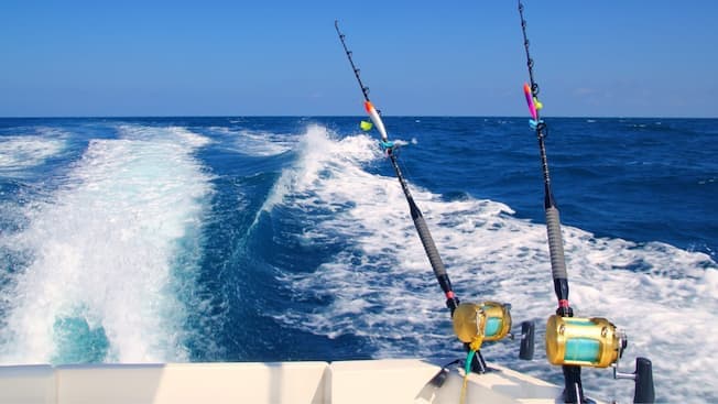 Castaway Cay Fishing Adventure