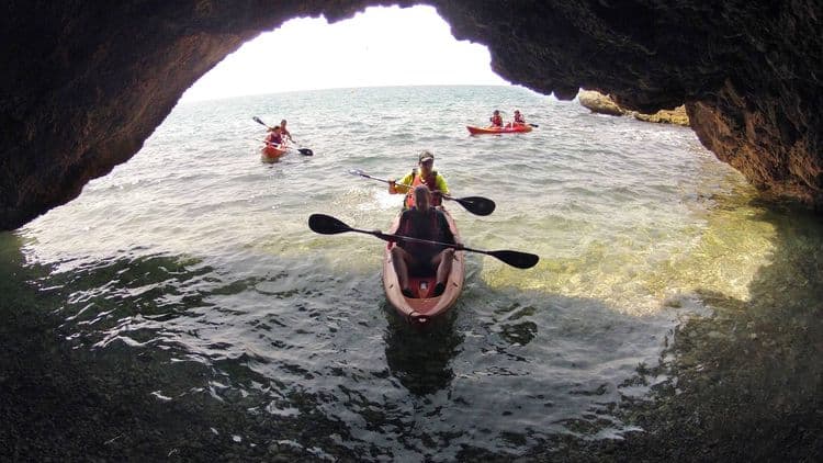 Bohemian Paddle