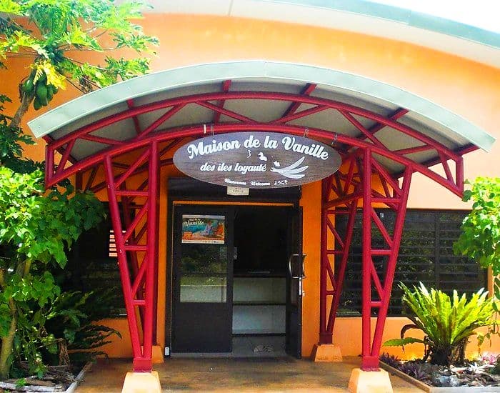 Tour The Vanilla Plantation