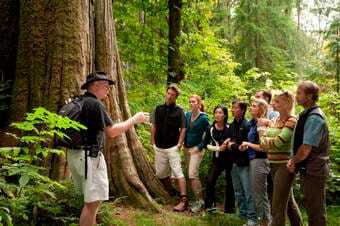 Capilano Canyon Walk & City Highlights