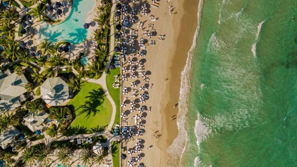 Book cruises from West Palm Beach (Port of Palm Beach), Florida with Margaritaville at Sea online and save