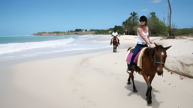 Horseback Beach Experience