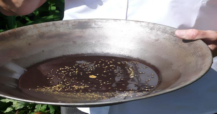 Historic gold mine, panning & salmon bake