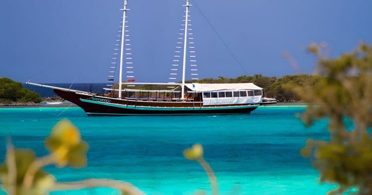 VIP Schooner Snorkel Cruise feature Private Chef