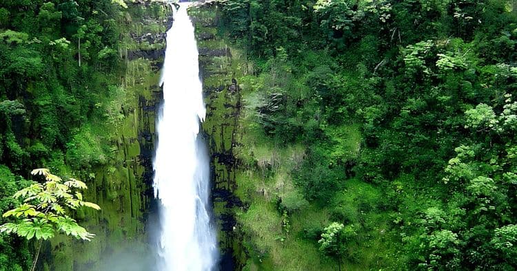 Hilo City & Akaka Falls