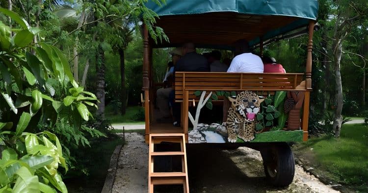 Mayan Ruins & Spice Farm