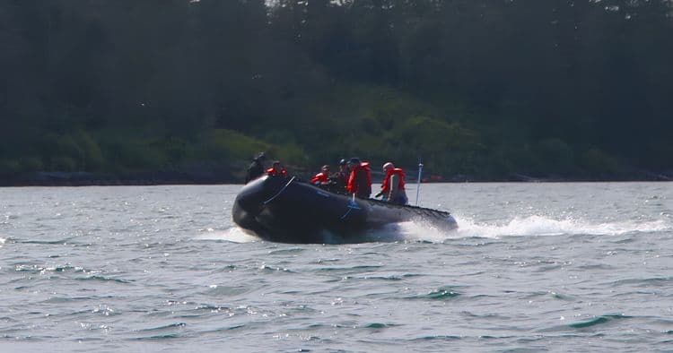 Alaska Zodiac Adventure & Fin Island Lodge