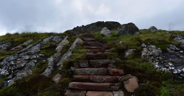 In The Footsteps of the Elves