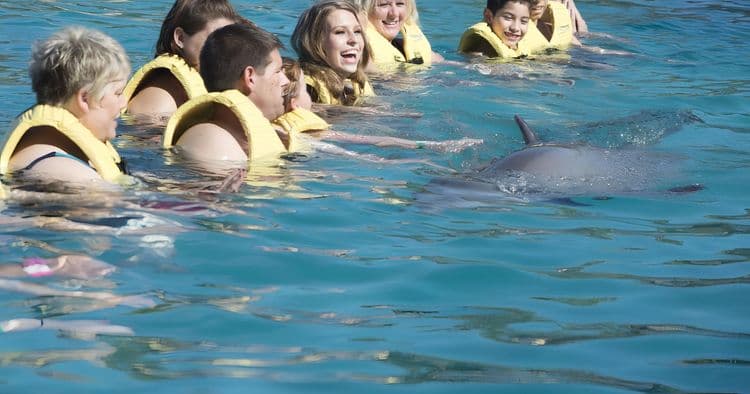 Dolphin Encounter with Unlimited Food & Drink