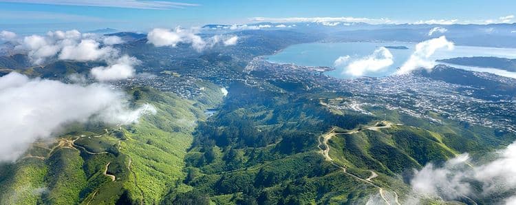 Santuario de Zealandia y Experiencia en Teleférico