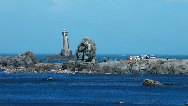 Tour de safari en la costa de las focas