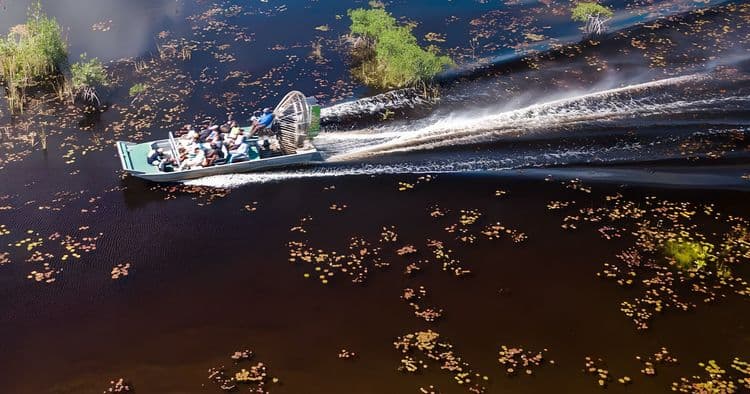 Airboat Adventure: Wetland & Mangrove Tour