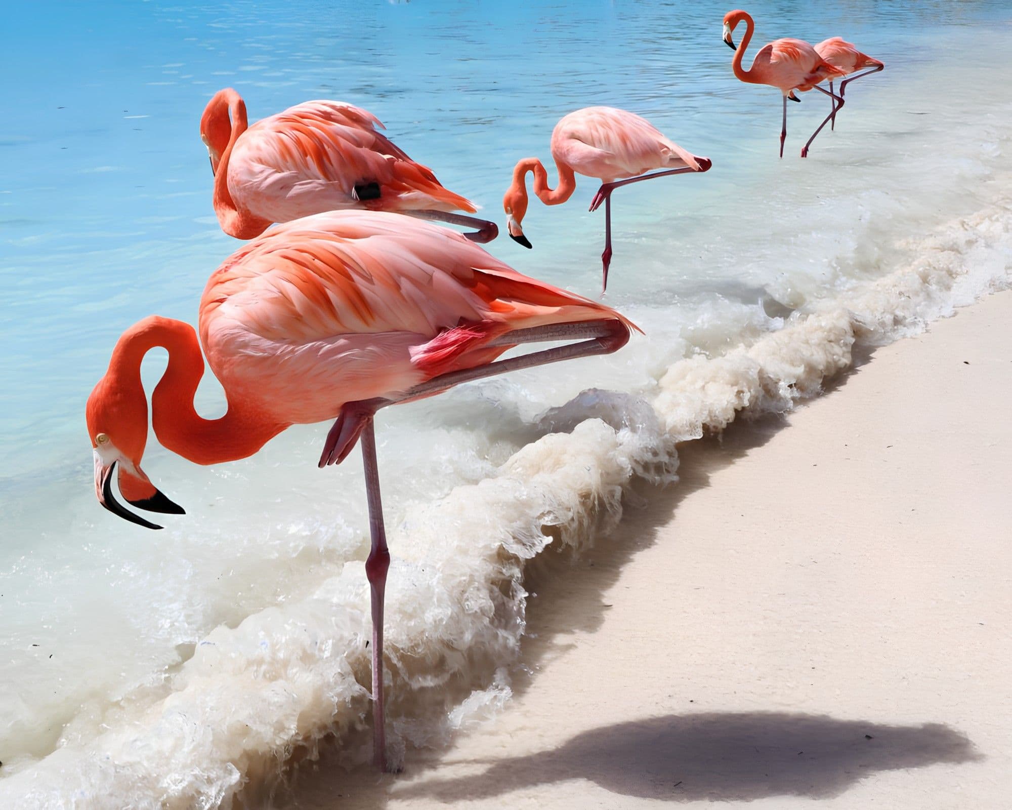 Puerto de Oranjestad, Aruba
