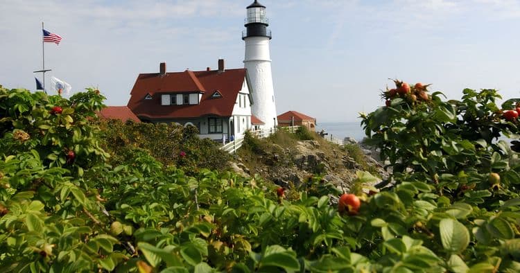 Portland Highlights & Lighthouse