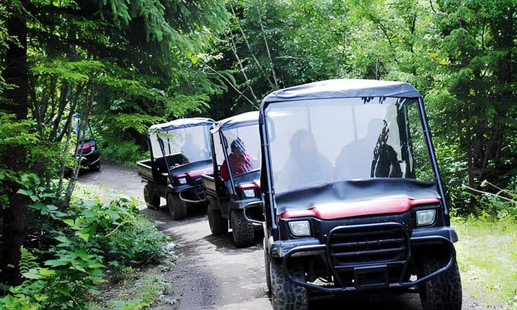 4x4 Wilderness Adventure