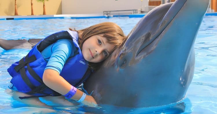 Dolphin Encounter at San Jose