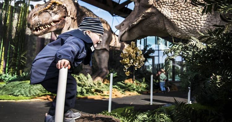 Panoramic Tour & Universeum