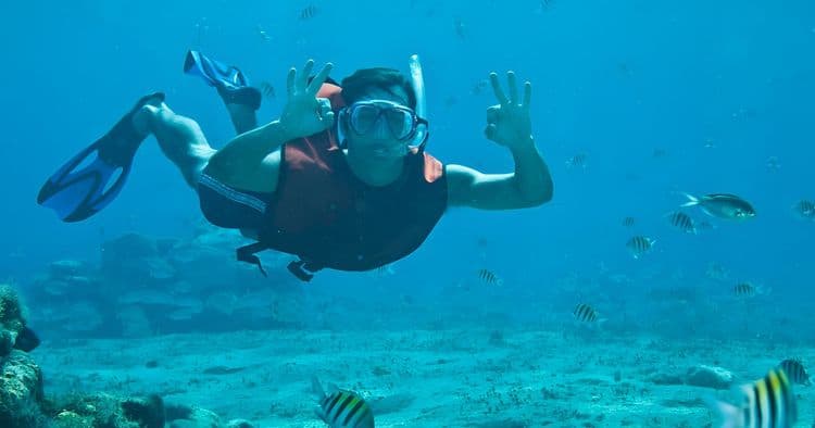 Awesome Shore Snorkel & Beach