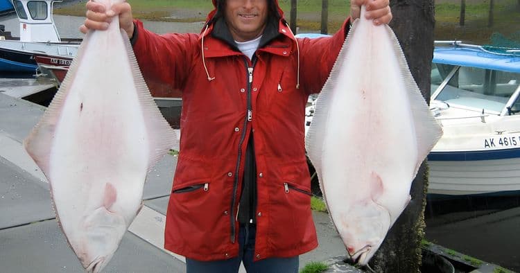 Halibut Fishing
